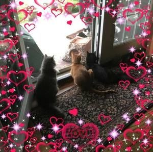 Meet your Posher, Marcia